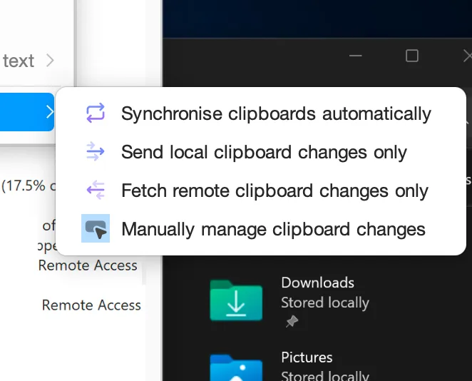 A screenshot showing different clipboard synchronisation options.